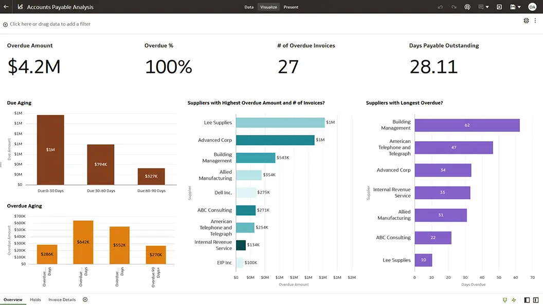 Accounts Payable Analysis section view