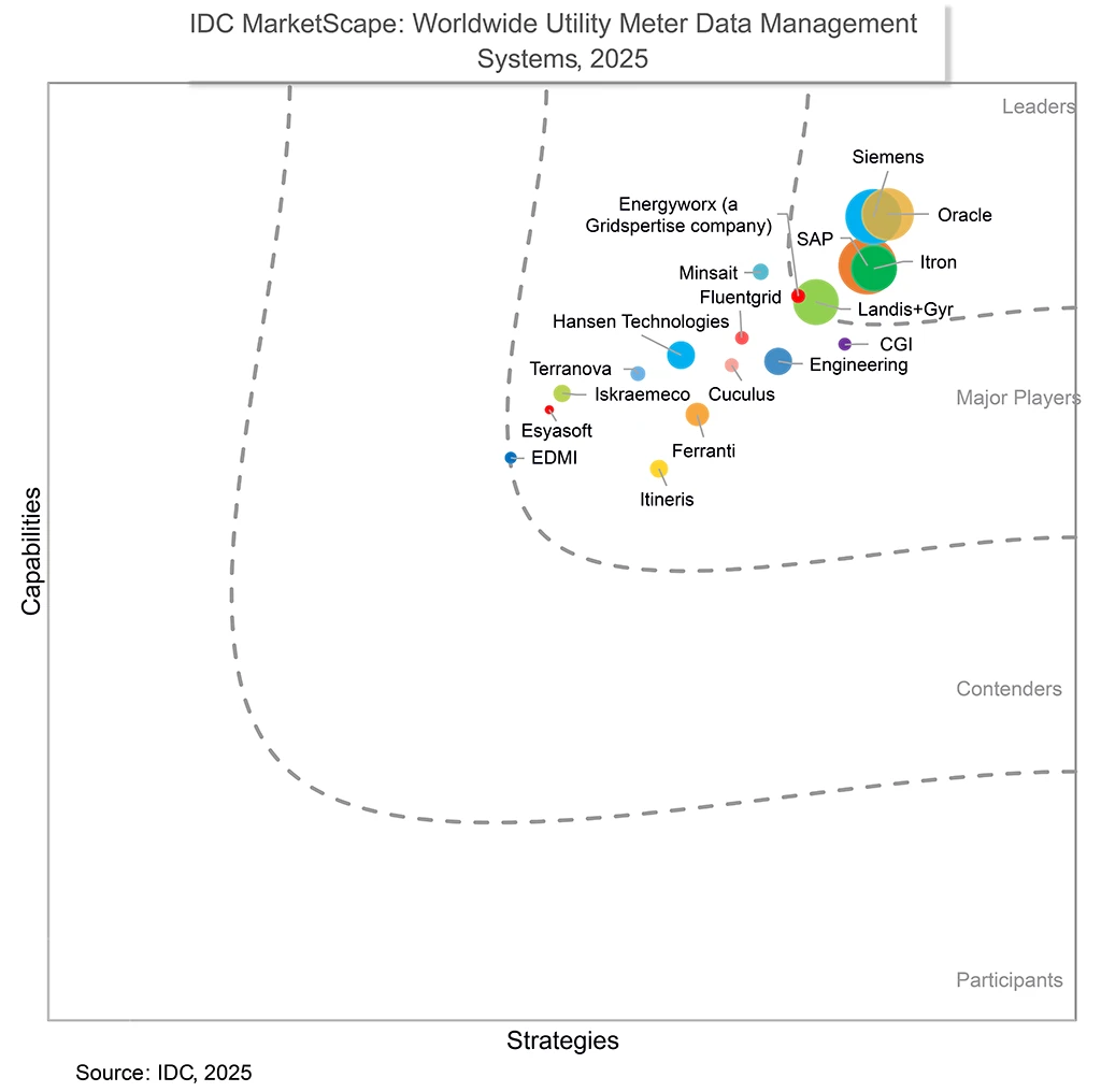 idc meter data management